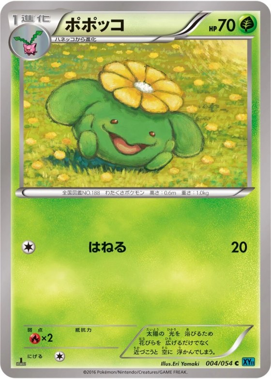 Skiploom