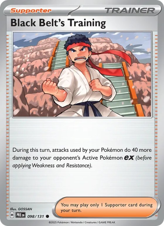 Black Belt's Training - Poke Ball Pattern