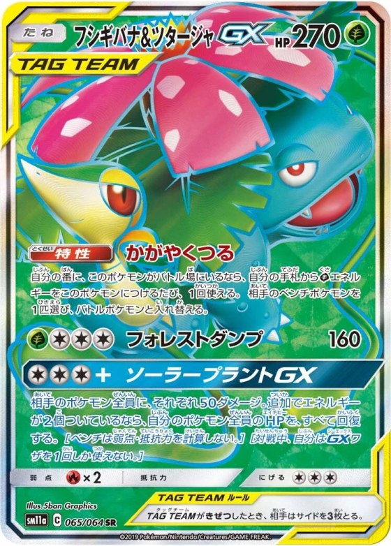 Venusaur & Snivy-GX