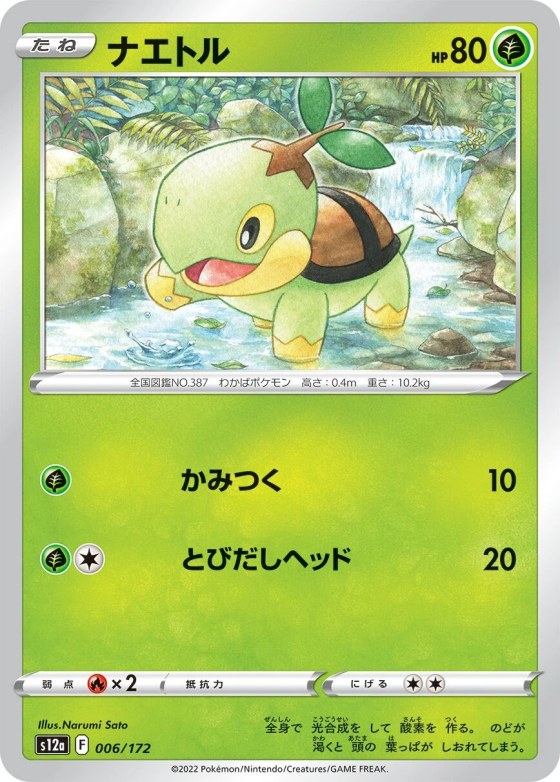 Turtwig