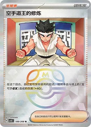 Black Belt's Training - Master Ball Pattern