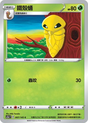 鐵殼蛹