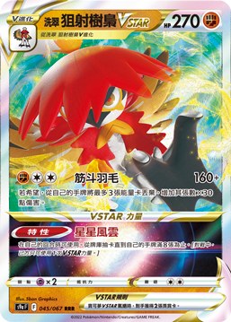 洗翠 狙射樹梟VSTAR