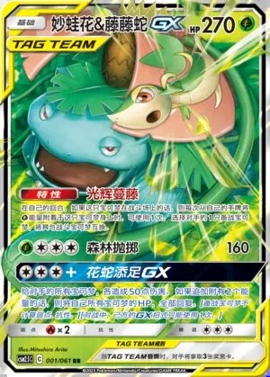 Venusaur & Snivy-GX