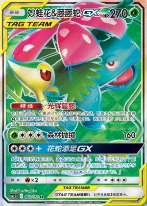 Venusaur & Snivy-GX