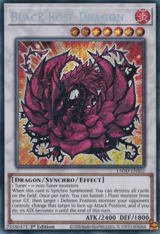 Black Rose Dragon