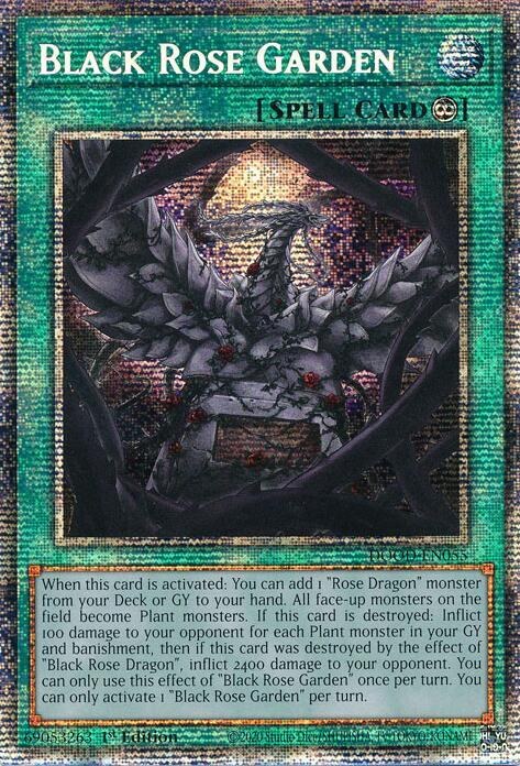 Black Rose Garden - Starlight Rare