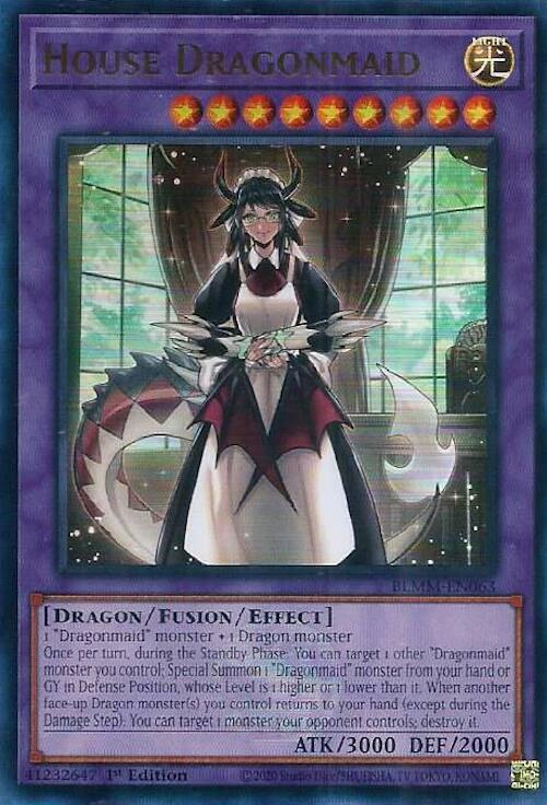 House Dragonmaid
