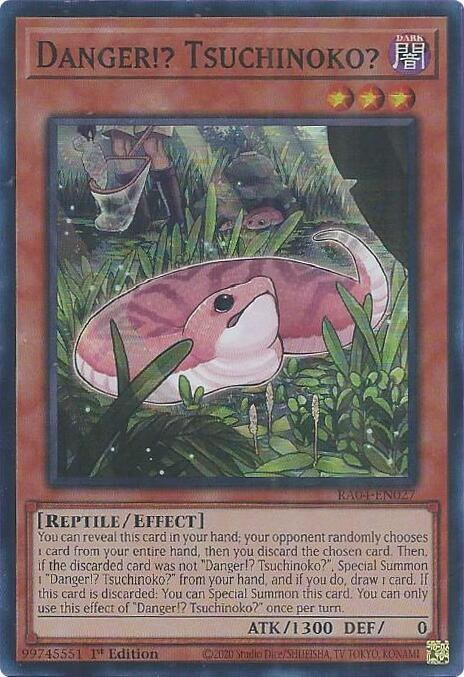 Danger!? Tsuchinoko? - 1st Edition