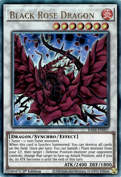Black Rose Dragon - Pur