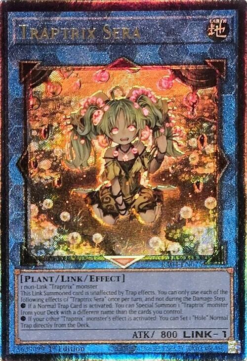 Traptrix Sera - Pur
