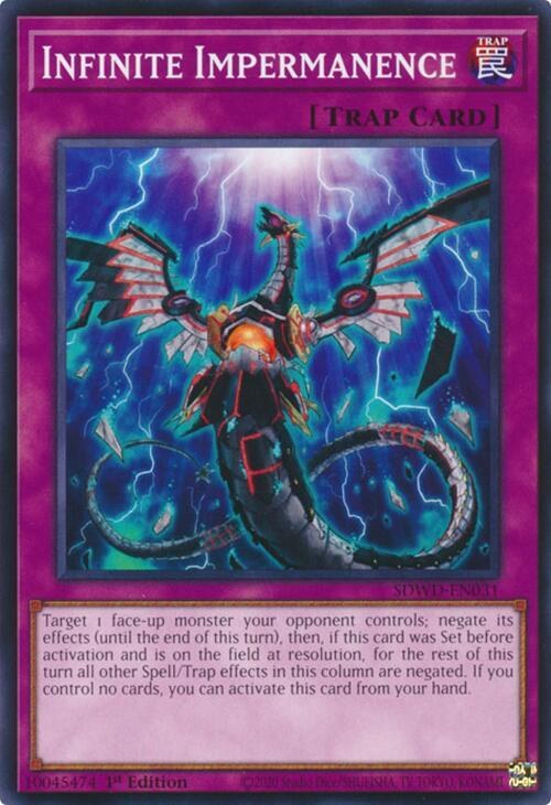 Infinite Impermanence - 1st Edition