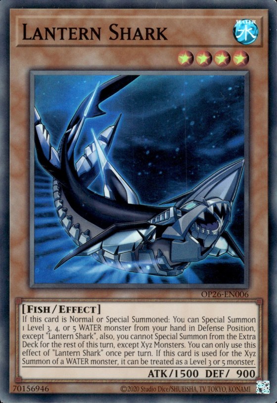 Lantern Shark