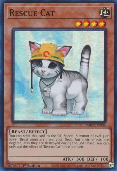 Rescue Cat - 1st Edition