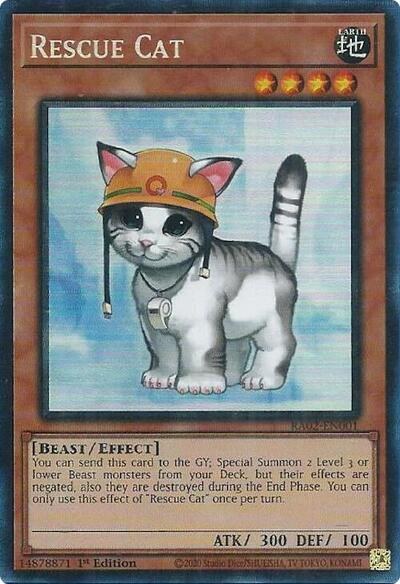 Rescue Cat - Pcr