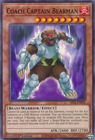Coach Captain Bearman - Unlimited