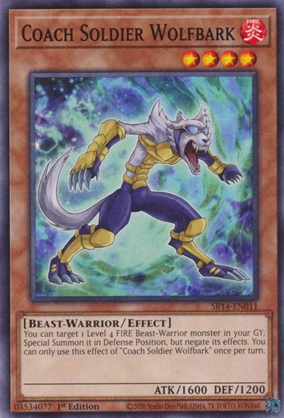Coach Soldier Wolfbark - 1st Edition