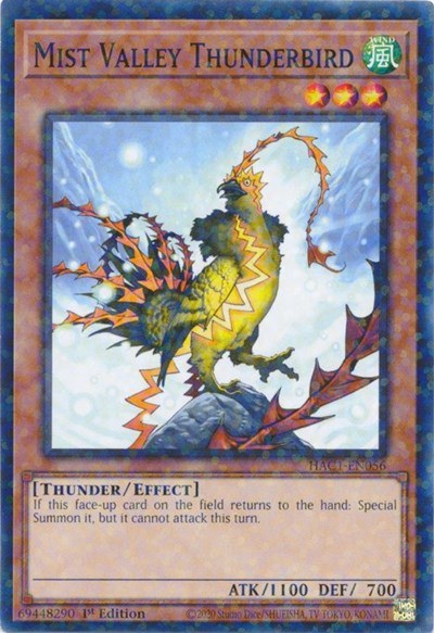 Mist Valley Thunderbird - Duel Terminal