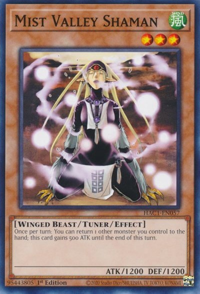 Mist Valley Shaman - 1st Edition