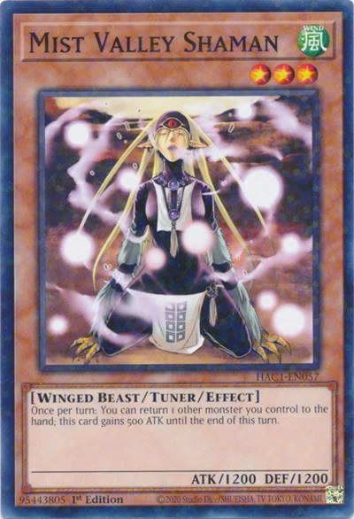 Mist Valley Shaman - Duel Terminal