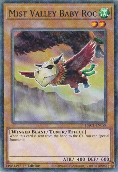 Mist Valley Baby Roc - Duel Terminal