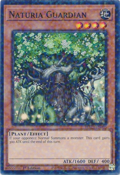 Naturia Guardian - Duel Terminal