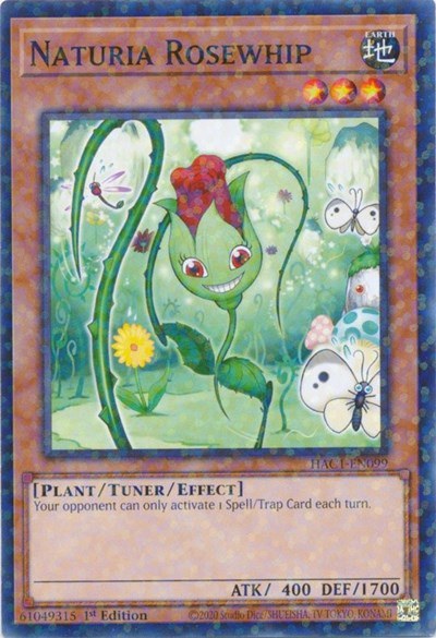 Naturia Rosewhip - Duel Terminal