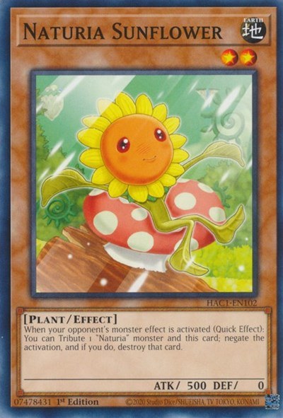 Naturia Sunflower - 1st Edition