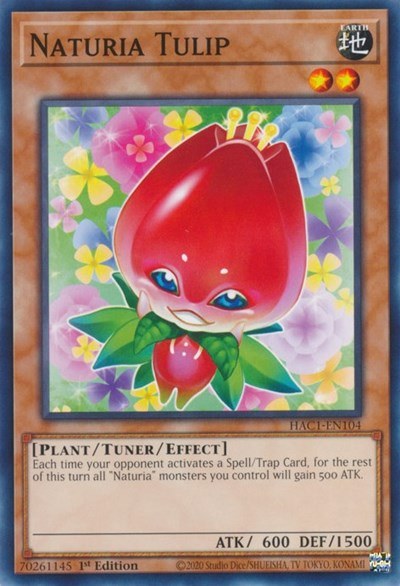 Naturia Tulip - 1st Edition