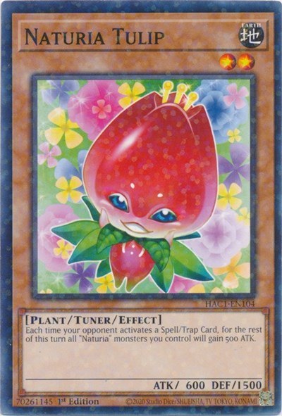 Naturia Tulip - Duel Terminal