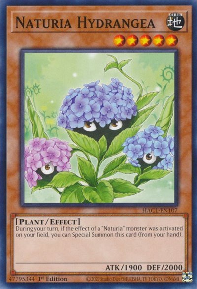 Naturia Hydrangea - 1st Edition