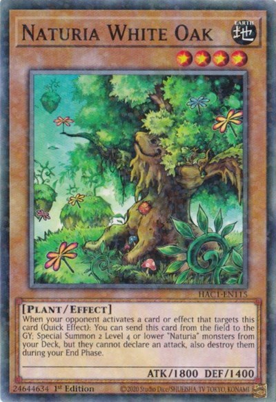 Naturia White Oak - Duel Terminal