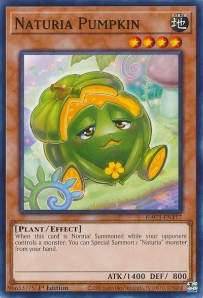 Naturia Pumpkin - 1st Edition