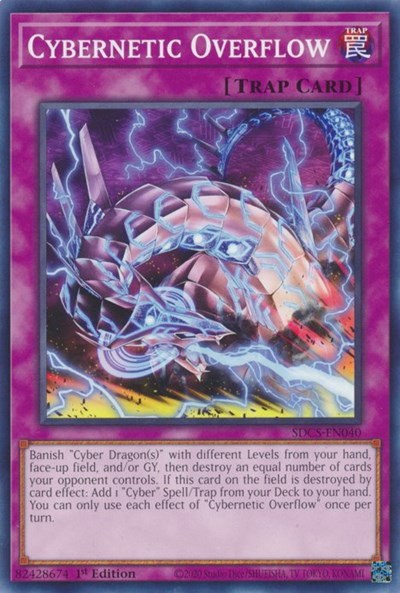 Cybernetic Overflow - 1st Edition