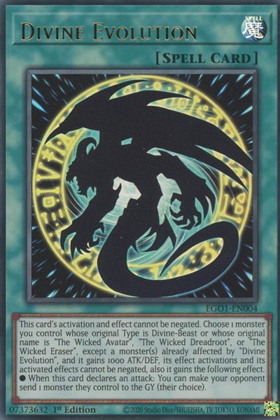 Divine Evolution - 1st Edition