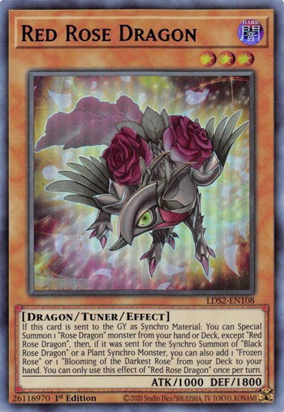 Red Rose Dragon - Purple