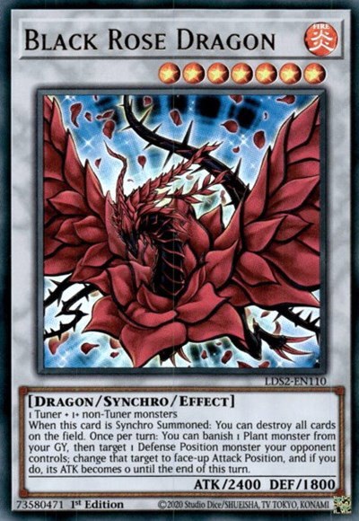 Black Rose Dragon - 1st Edition
