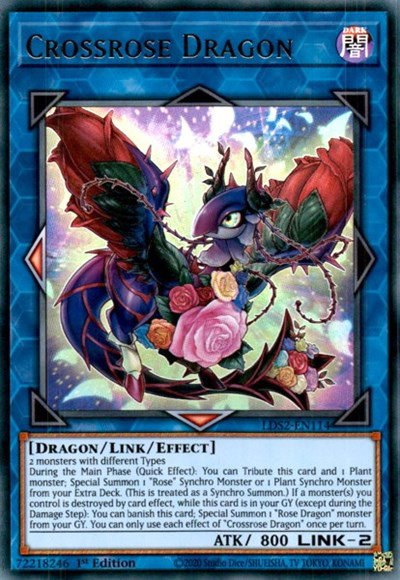 Crossrose Dragon - 1st Edition