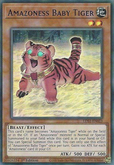 Amazoness Baby Tiger - Blue