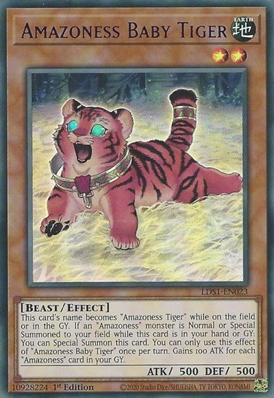 Amazoness Baby Tiger - Purple