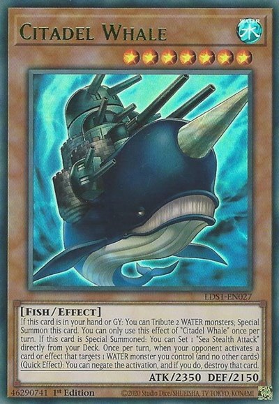 Citadel Whale - Green