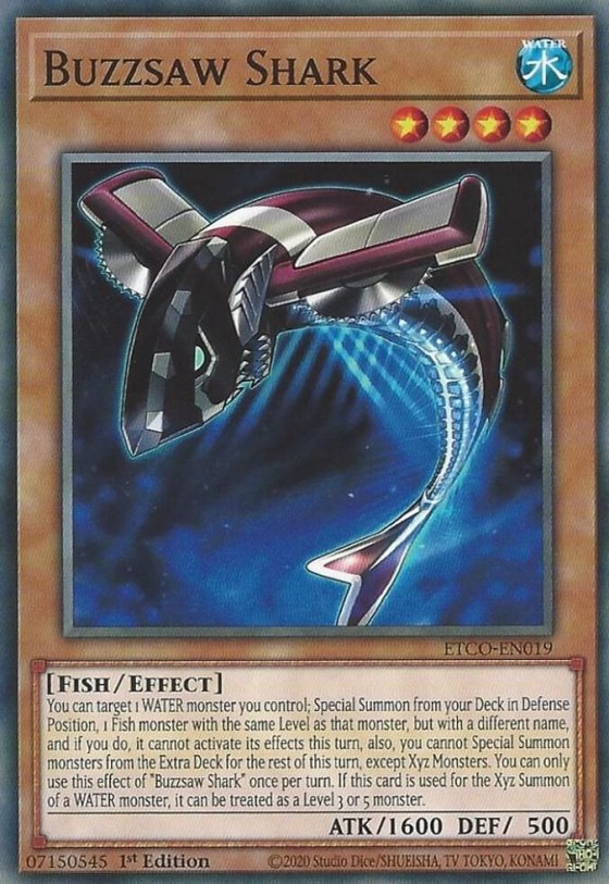 Buzzsaw Shark