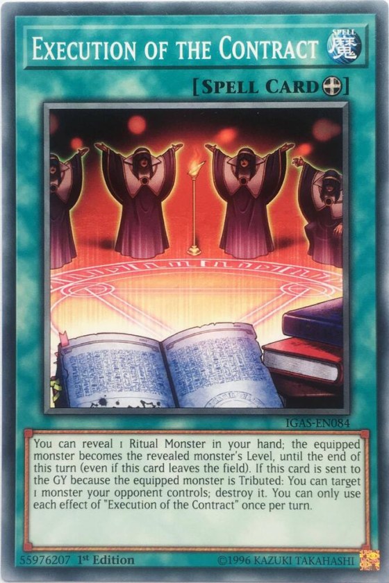 Execution of the Contract - Unlimited