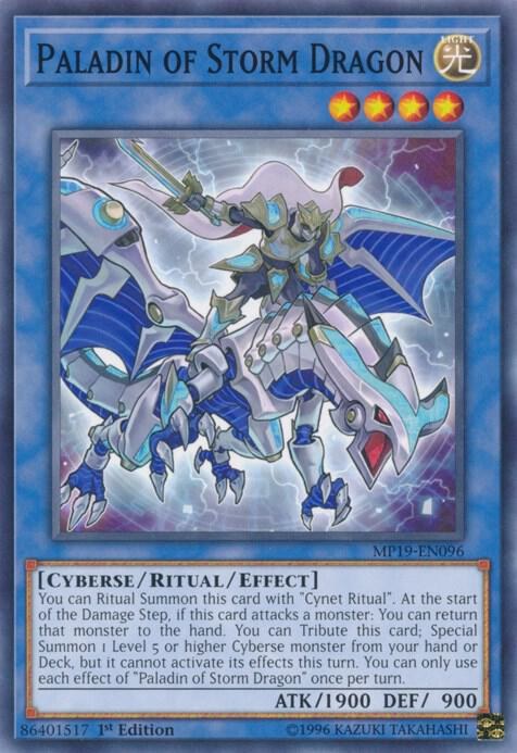 Paladin of Storm Dragon - 1st Edition
