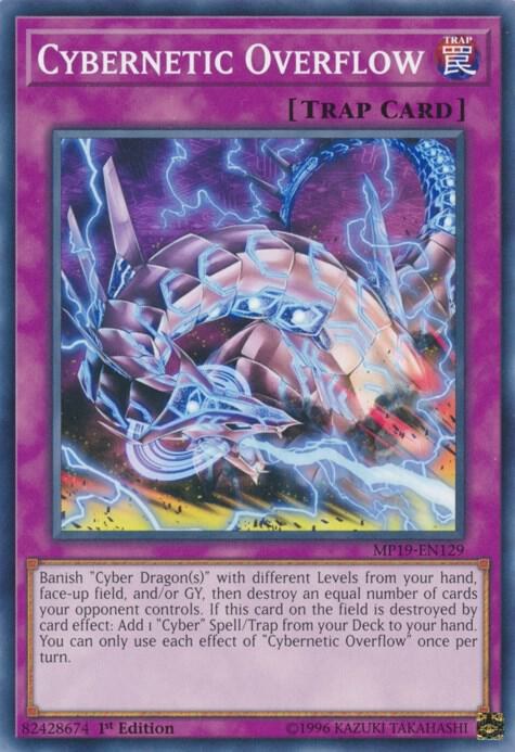 Cybernetic Overflow - 1st Edition
