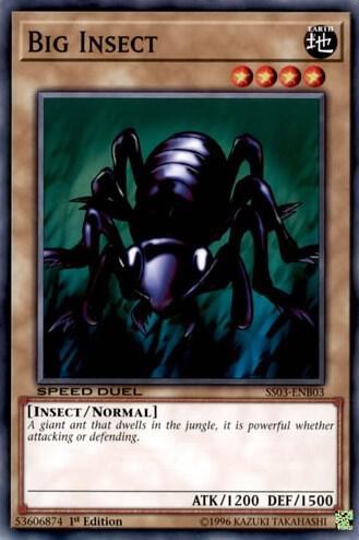 Big Insect
