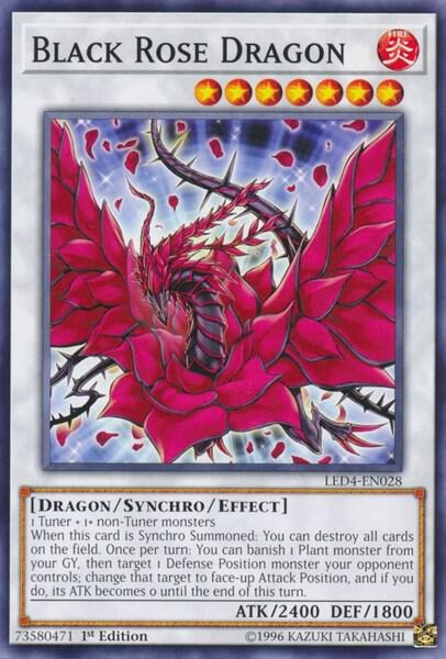 Black Rose Dragon