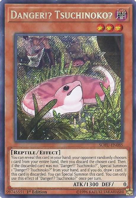 Danger!? Tsuchinoko? - 1st Edition