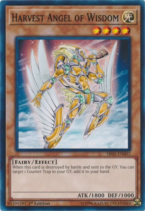Harvest Angel of Wisdom