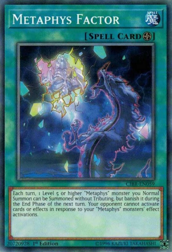 Metaphys Factor - 1st Edition